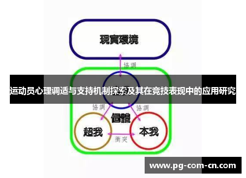 运动员心理调适与支持机制探索及其在竞技表现中的应用研究