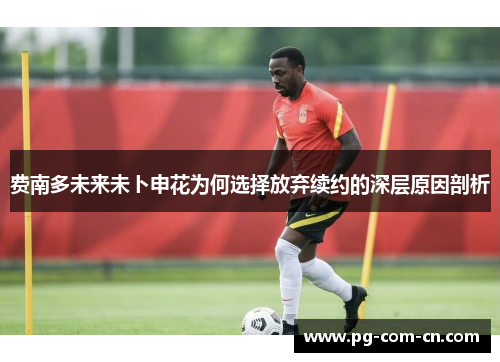 费南多未来未卜申花为何选择放弃续约的深层原因剖析