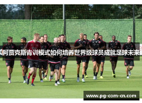 阿贾克斯青训模式如何培养世界级球员成就足球未来